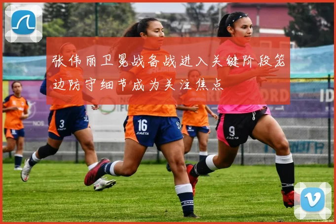 张伟丽卫冕战备战进入关键阶段笼边防守细节成为关注焦点